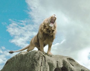 lion Roaring